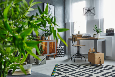 studio-flat-with-plants-PYQSS2E