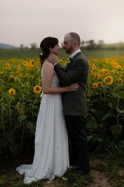 Couple gazes into each other eyes and groom's hands are on bride's face. They stand in front of a huge sunflower field at sunset