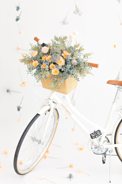 2025.03.17 Spring Install Jax Mini Sessions Studio-16048