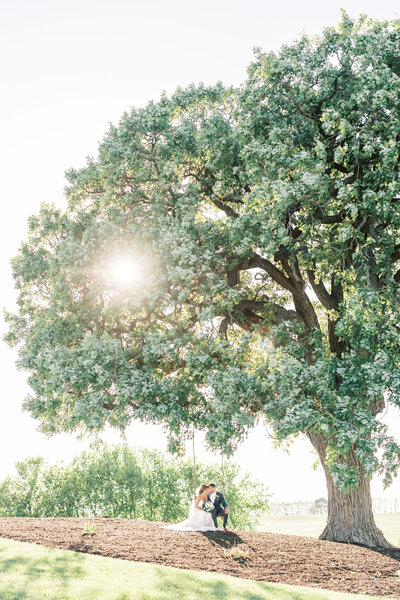 Bride and groom swing on a swing under a large oak tree