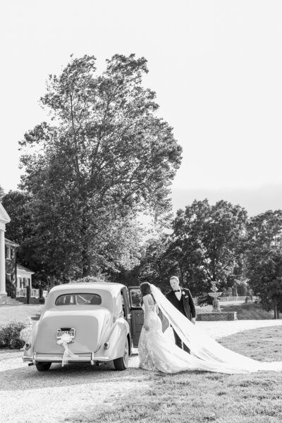 Cumberland Estate wedding photography