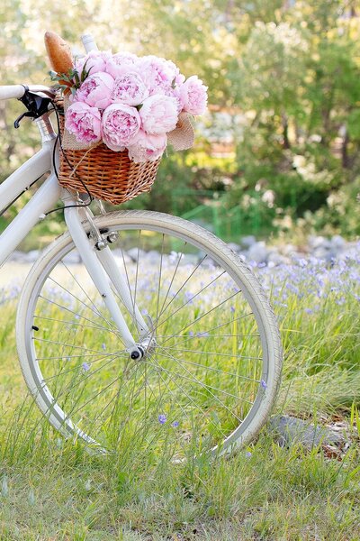 Flowers in bike basket
