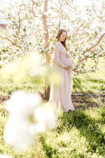 Expecting mother stands under flowering Minnesota tree with her hands on belly for maternity shoot.