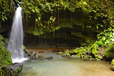 Dominica Emerald Pool