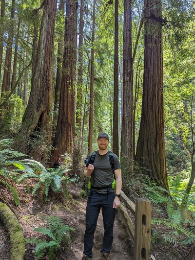 Photographer stands amongst the redwood trees