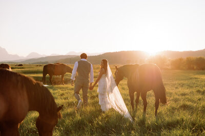 6.30-Allison-Josh-Diamond-Cross-Ranch-Wedding-567
