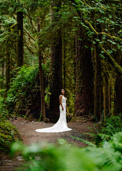 A bride stands in her wedding dress, gazing out at the forest before her Olympic national Park wedding