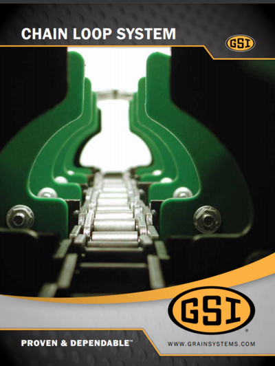 GSI Chain Loop System