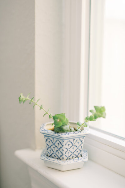 Classic-Blue_Social-Squares_Styled-Stock_01021-scaled