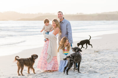 family surrounded by dogs at Carmel Beach during sunset