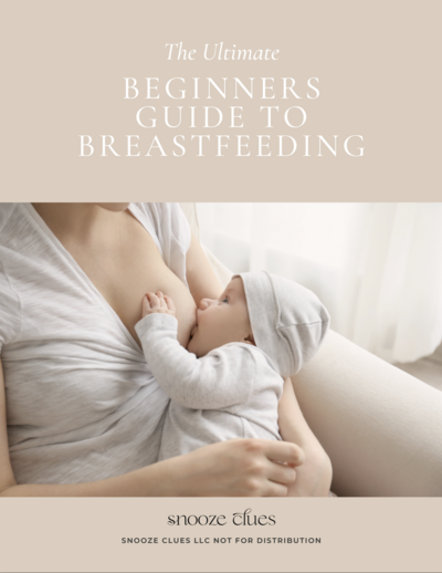 An instant download guide for navigating breastfeeding