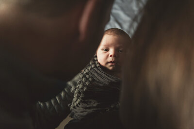 jean smith_michigan newborn photographer-132