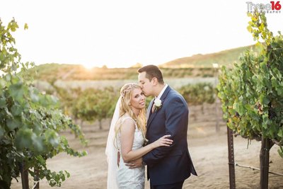 Groom kisses his Bride's head while standing in a winery field at Europa Village
