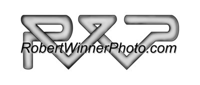 19981103-RWP_logo_flat