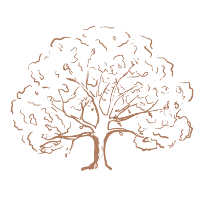 tree illustration of an oak in earth