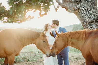 Rebecca Rae Photography California Best Elopement Adventure Wedding Photographer Horse Spanish Oaks Vineyard Flower Crown