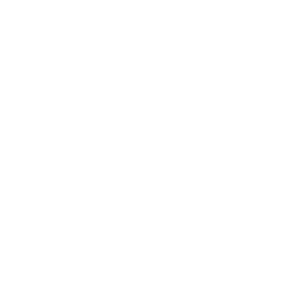 NS Photobook - Jacksonville Wedding Photographer logo