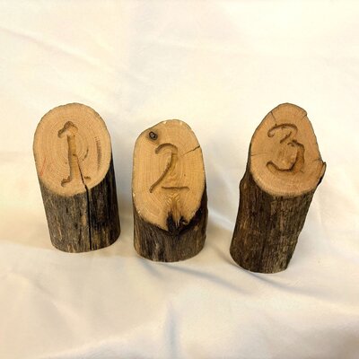 decor table number at barnwood events in madison, winconsin.