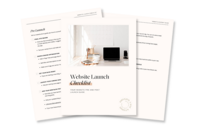 Mockup of Website Launch Guide