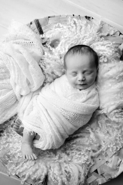 Black and white newborn session of baby boy