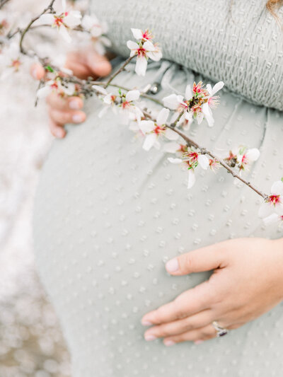 close up image of baby bump and almond blossoms taken by maternity photographer sacramento Kelsey Krall