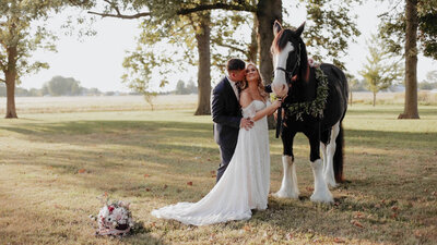 Wedding film with horse