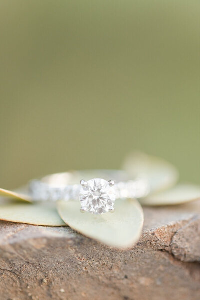 diamond engagement ring on green leaves