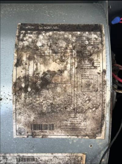 a moldy manufacturer sticker on an AC unit