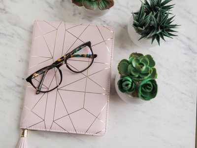 Blush journal. glasses, and succulents