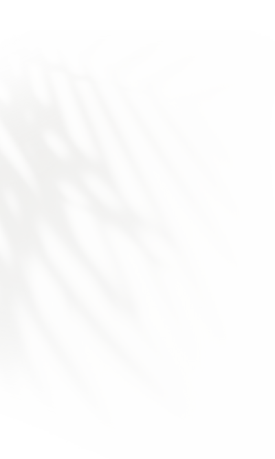 Palm shadow image