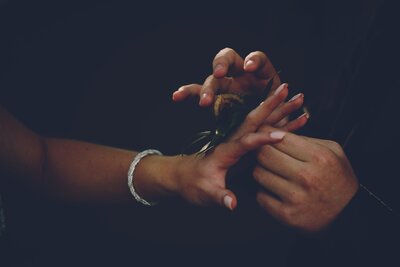 quinton-coetzee-jZ_d2EqAACQ-unsplash