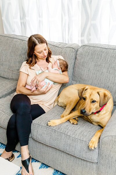 Mom and Dad are holding their brand new baby and their dog the big sister is sitting in front on them in an in home newborn session in Wexford PA