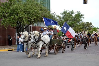 Horse drawn wagon in Texas parade