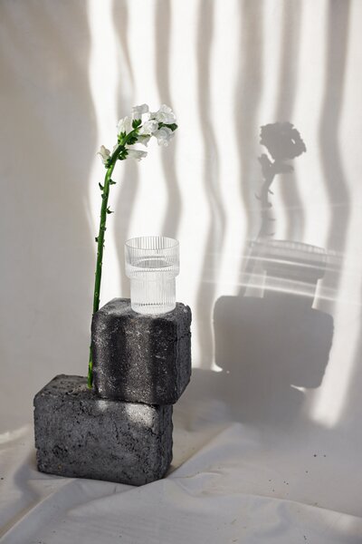 A long stem with several white flowers creates shadow on the white wall behind it.