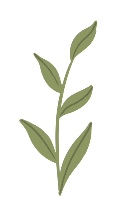 Florida Social Butterfly Green Leaf icon