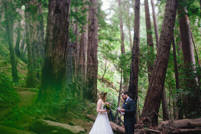 California Elopement Packages
