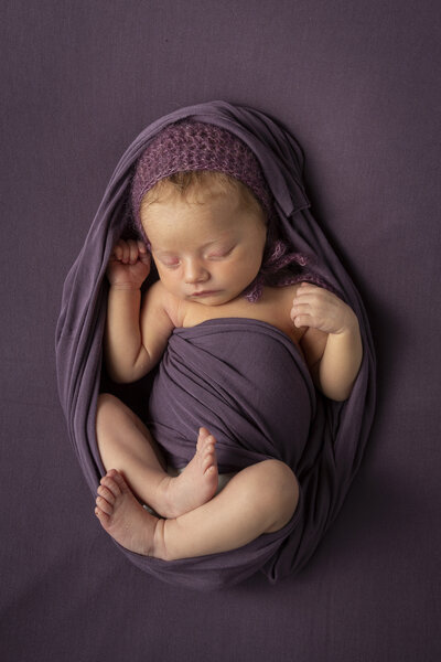 Charlotte newborn photos