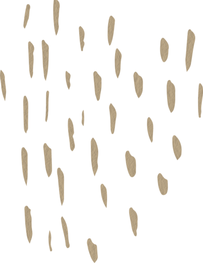 Shape 11