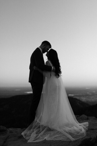 recently eloped silhouette