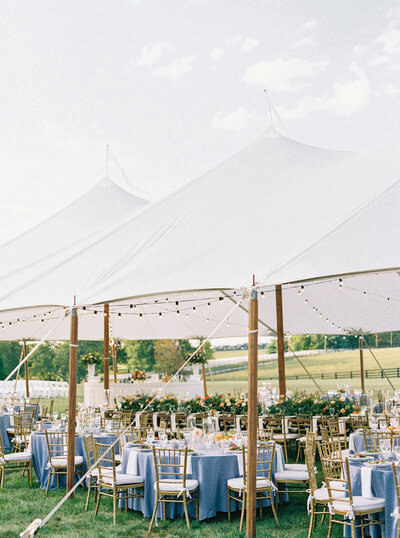 Outdoor tented reception with blue tables and fresh flowers  in the rolling hills of Lexington Kentucky