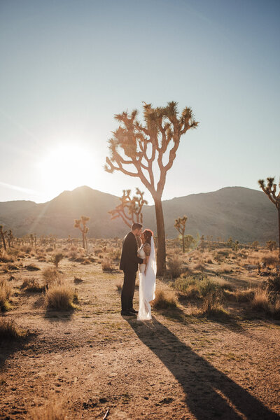 Small intimate wedding in Joshua Tree, California