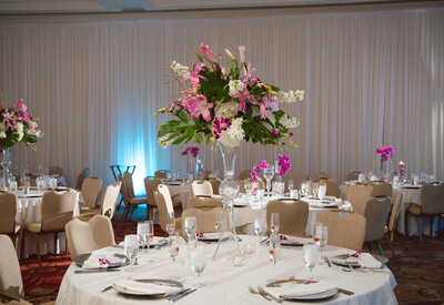 social and Event Planning Services in  Tampa Bay, Clearwater, Tampa, and St Petersburg FL