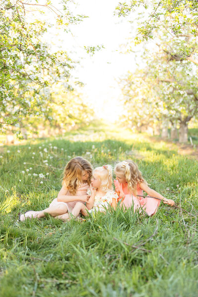 3 sisters sitting in an orchard in Boise during family pictures with Tiffany Hix