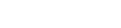 Nyhus Enterprises Logo