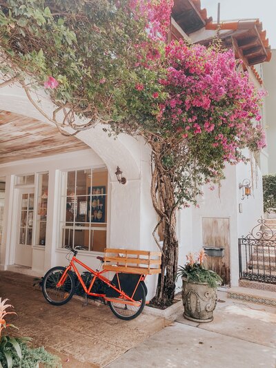 tessa-wilson-UBEsRHD4Bh4-unsplash
