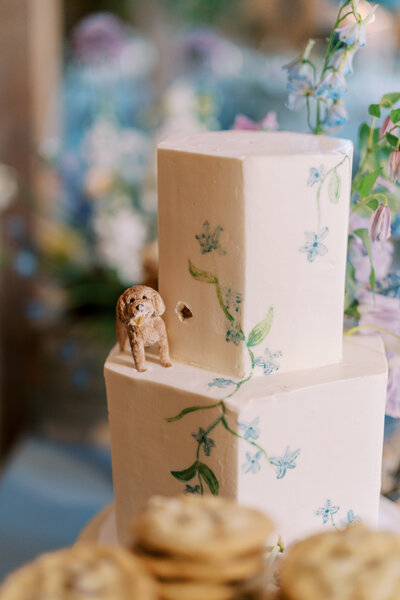 wedding at Private Ranch, Wimberley, Texas