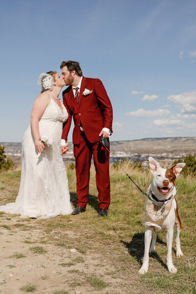 MT-Wedding-Dog-Photographer-002
