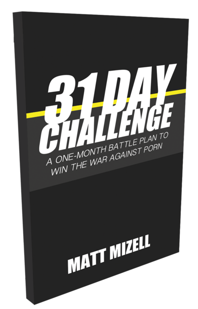 31 Day Challenge 3D Cover 1
