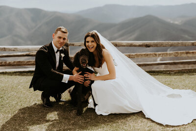 Bringing your four legged family member to your wedding is a must!