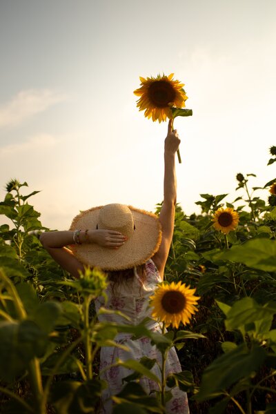 Woman holding sunflower in the sky